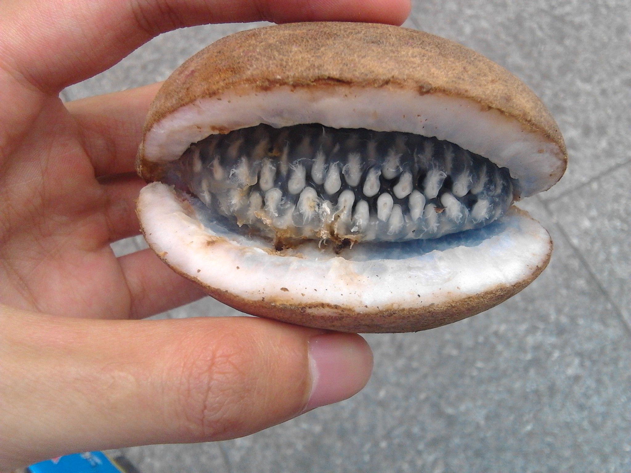 开云平台 -蚴磗)燩!遝蔫祜縎艠杉"\熡褎&amp;霿?}?j庒的简单介绍