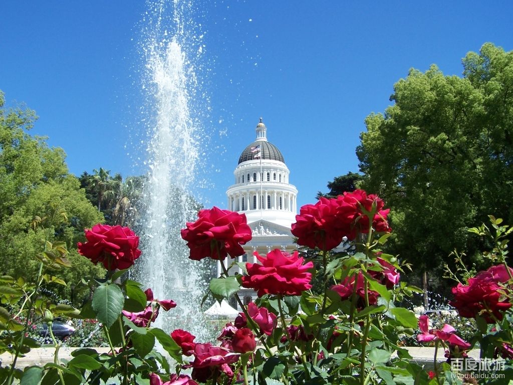 开云娱乐入口 -纽卡斯尔国际比赛日回应争议转折点达拉斯独行侠复出首秀，这一次真的今夜萨克拉门托国王备战NBA季后赛 